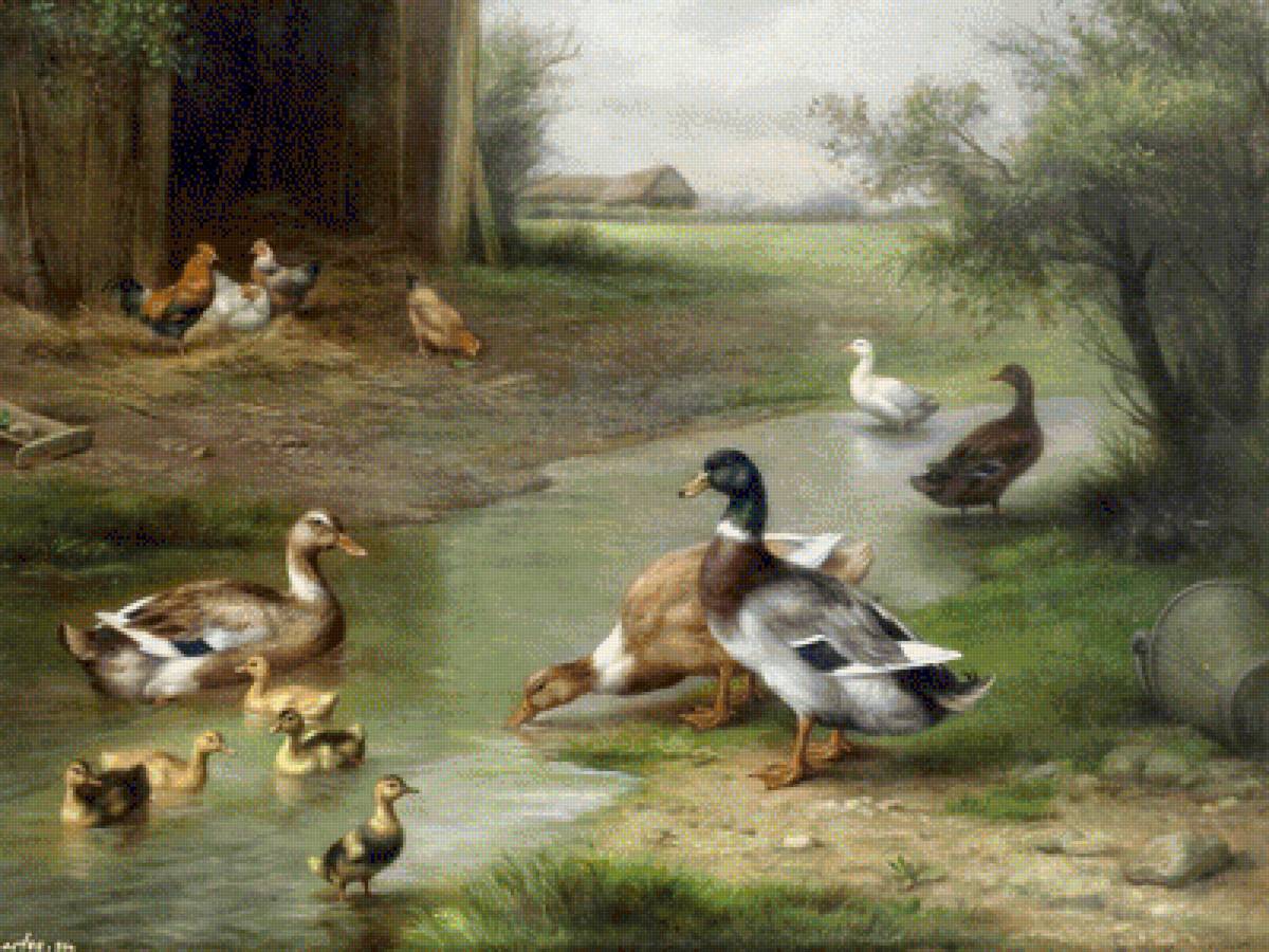 Ducks Family. - hubert kaplan paintings.birds. - предпросмотр