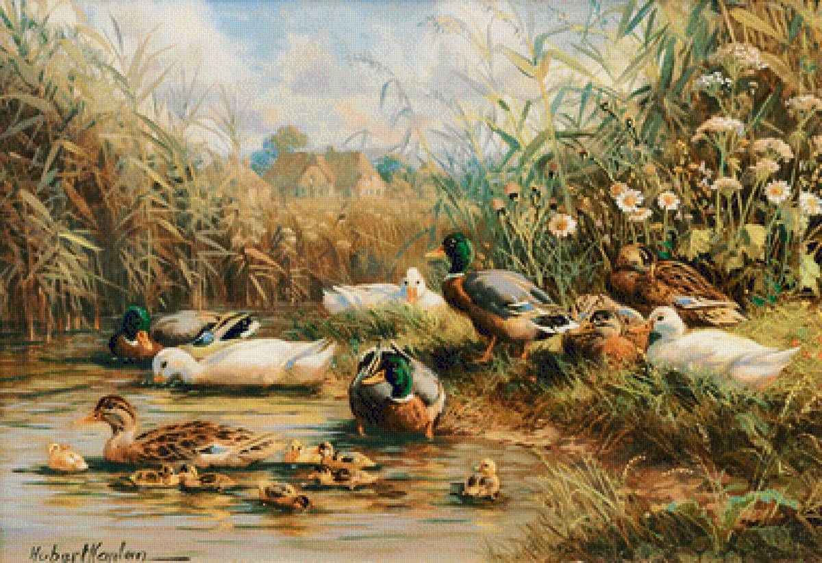 Ducks by a Pond. - hubert kaplan paintings.birds. - предпросмотр