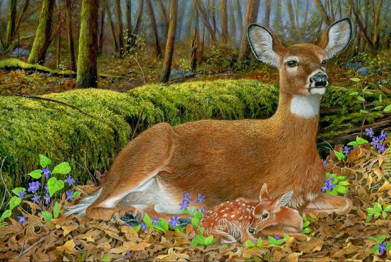 Мама с малышом - олень, лес - оригинал