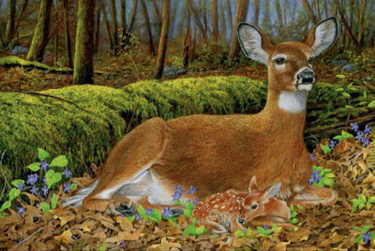 Мама с малышом - олень, лес - предпросмотр