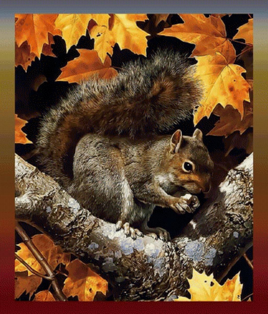Белочка. Осень. - белка с орешками осень листва - предпросмотр