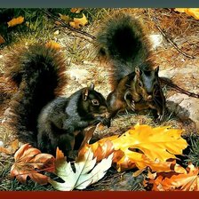 Схема вышивки «Белки.»