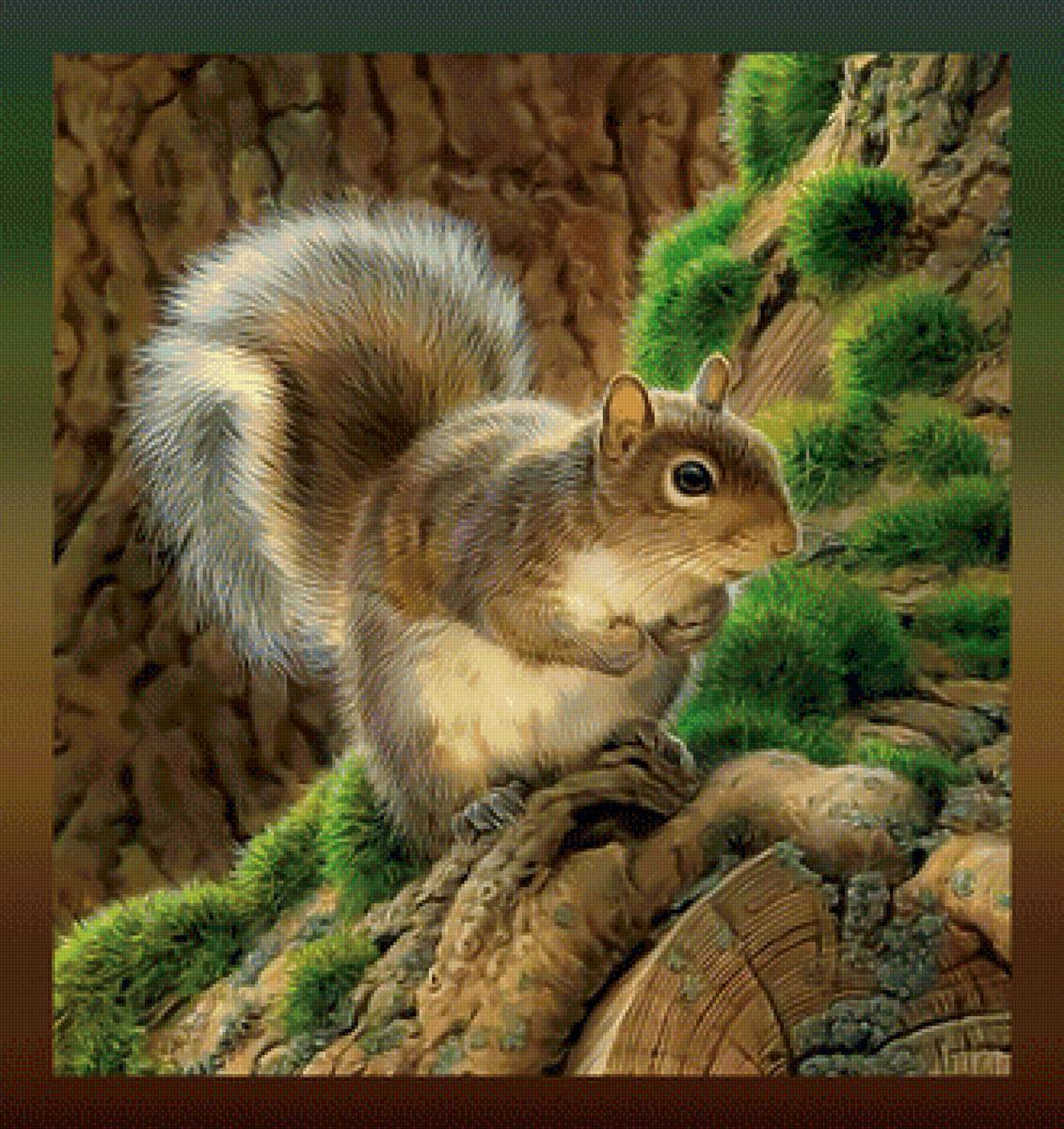 Белочка - белка - предпросмотр