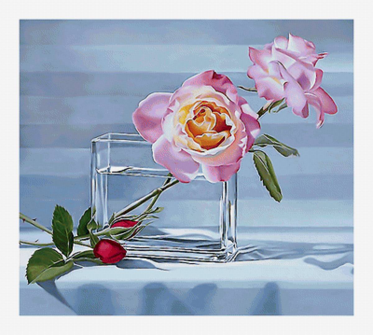 Серия "Розы". - розы, флора, цветы - предпросмотр