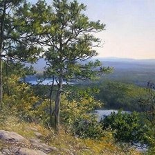 Схема вышивки «пейзаж»