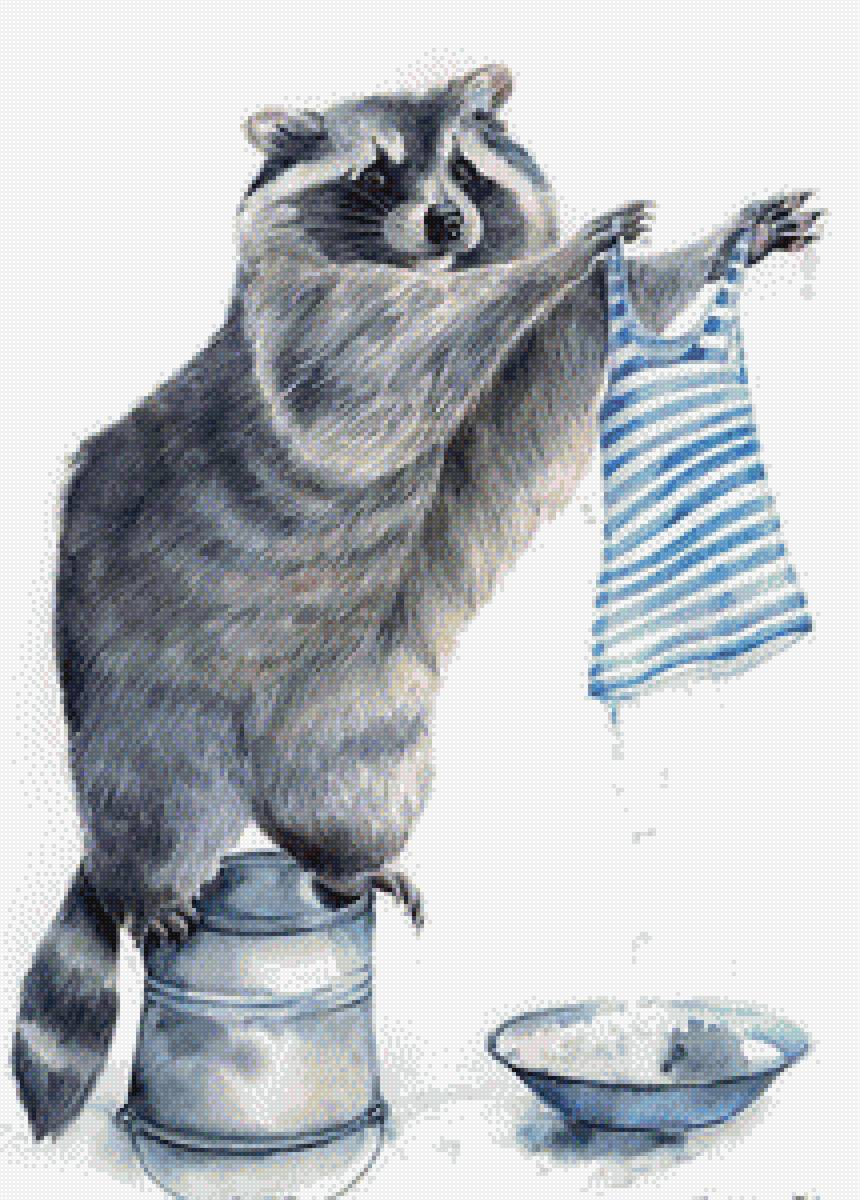 Время стирки - предпросмотр