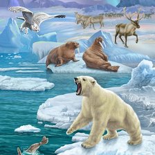 Схема вышивки «Серия "Мир животных" - 1»