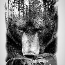 Схема вышивки «Медведь»