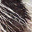 Предпросмотр схемы вышивки «Енот» (№1930210)
