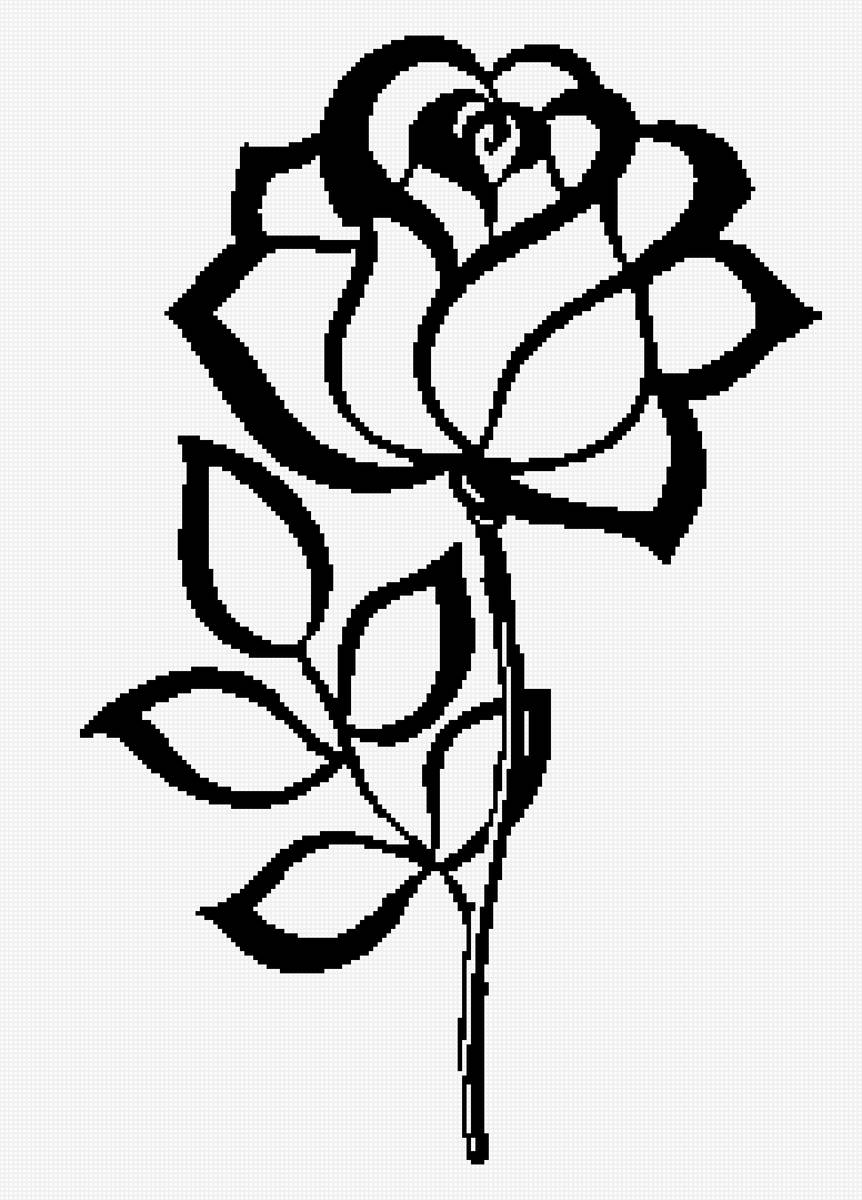 ROSA mono - fiori - предпросмотр