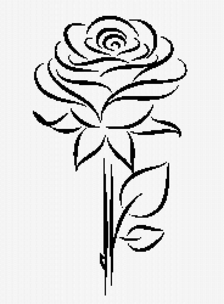 ROSA mono 2 - fiori - предпросмотр