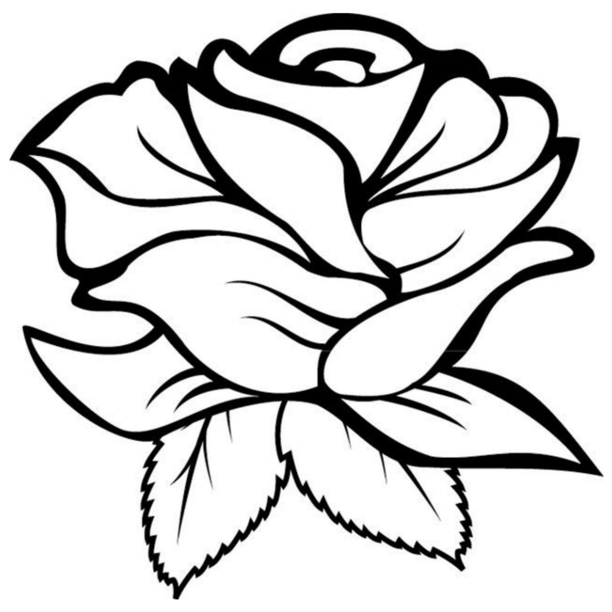 ROSA mono  4 - fiori - оригинал