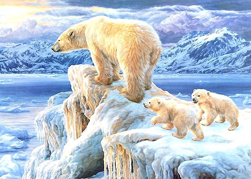 белые медведи - мир животных - оригинал