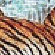 Предпросмотр схемы вышивки «тигры» (№1930326)