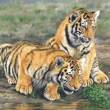 Схема вышивки «тигрята»