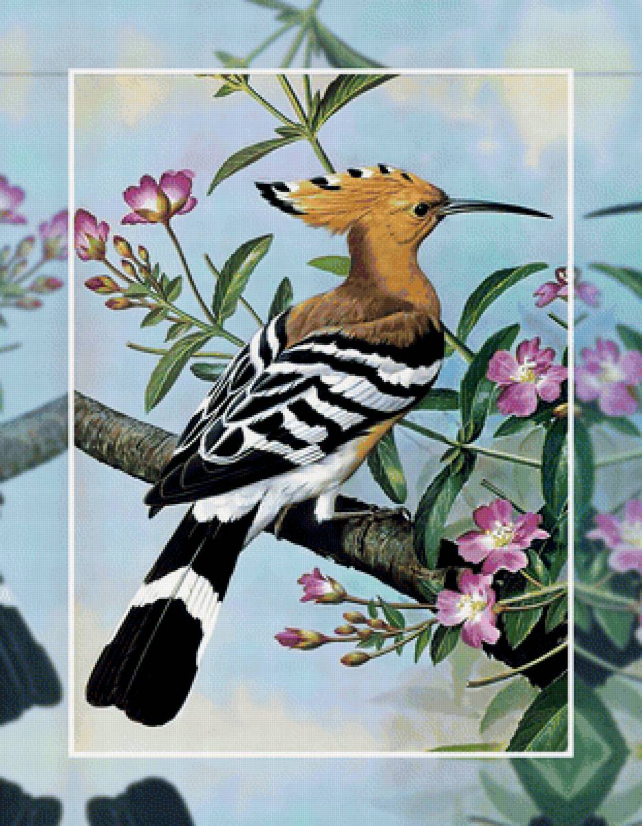 Удод. - птица ветка картина - предпросмотр