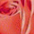 Предпросмотр схемы вышивки «Розы» (№1930487)