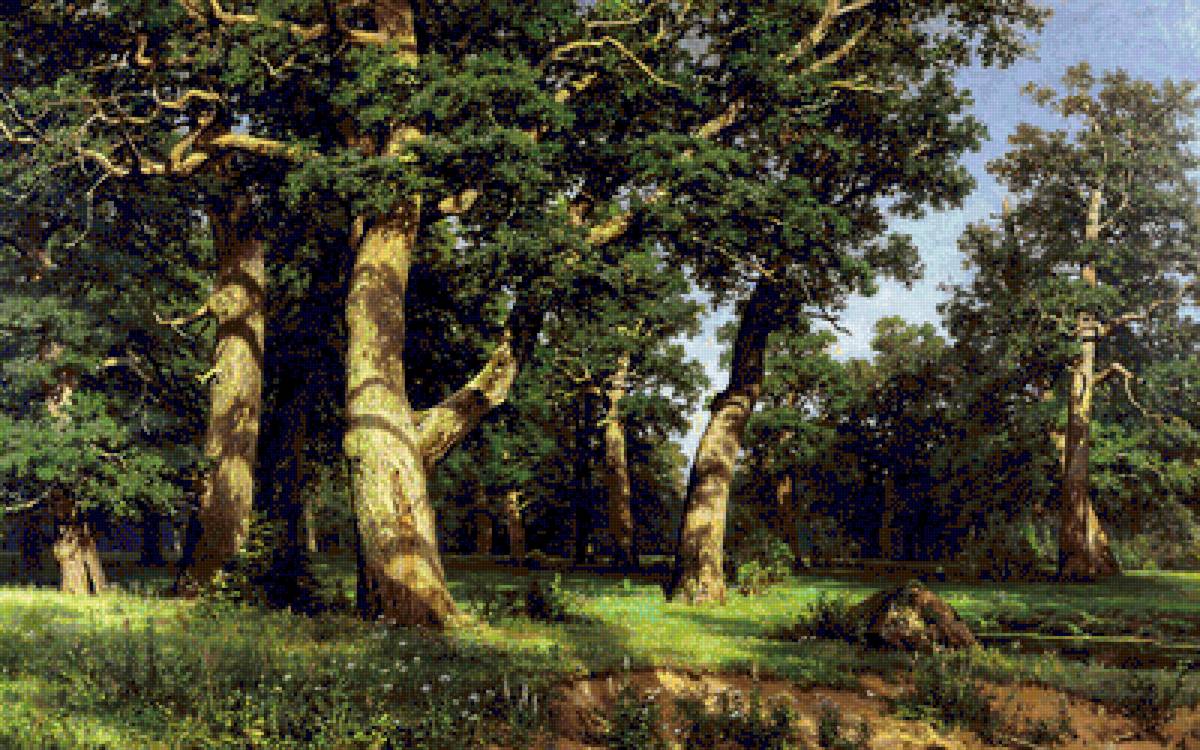 Дубовая роща - дубовая роща - предпросмотр