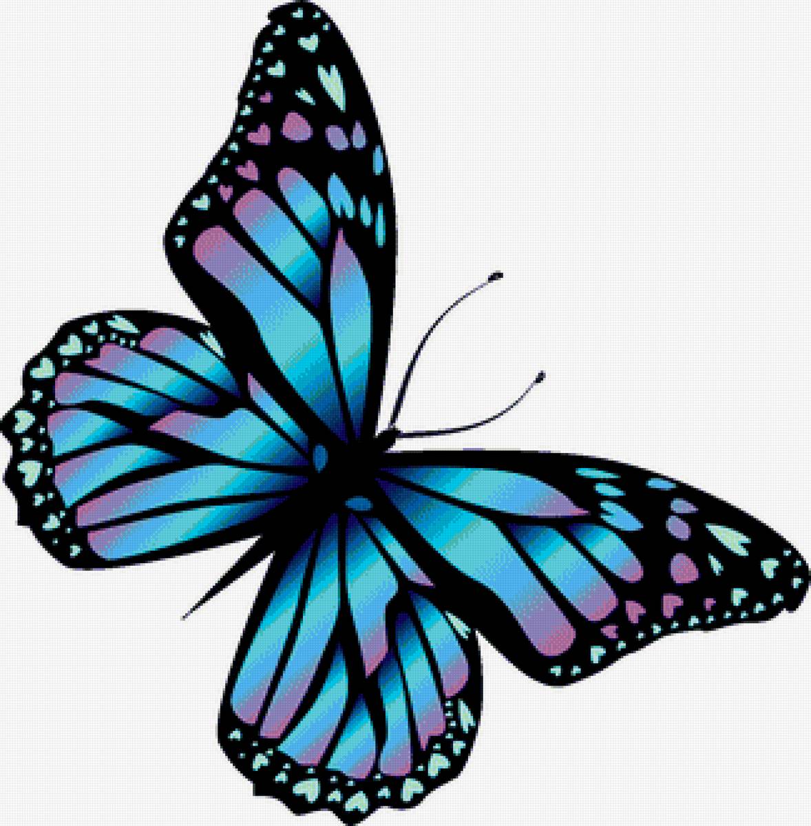 №1930734 - бабочка - предпросмотр