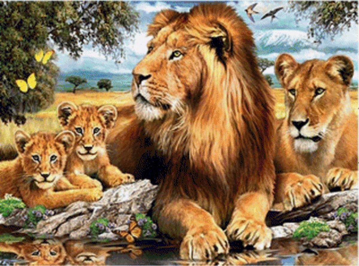 Family of Lions. - animals. - предпросмотр