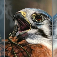 Схема вышивки «Сокол»