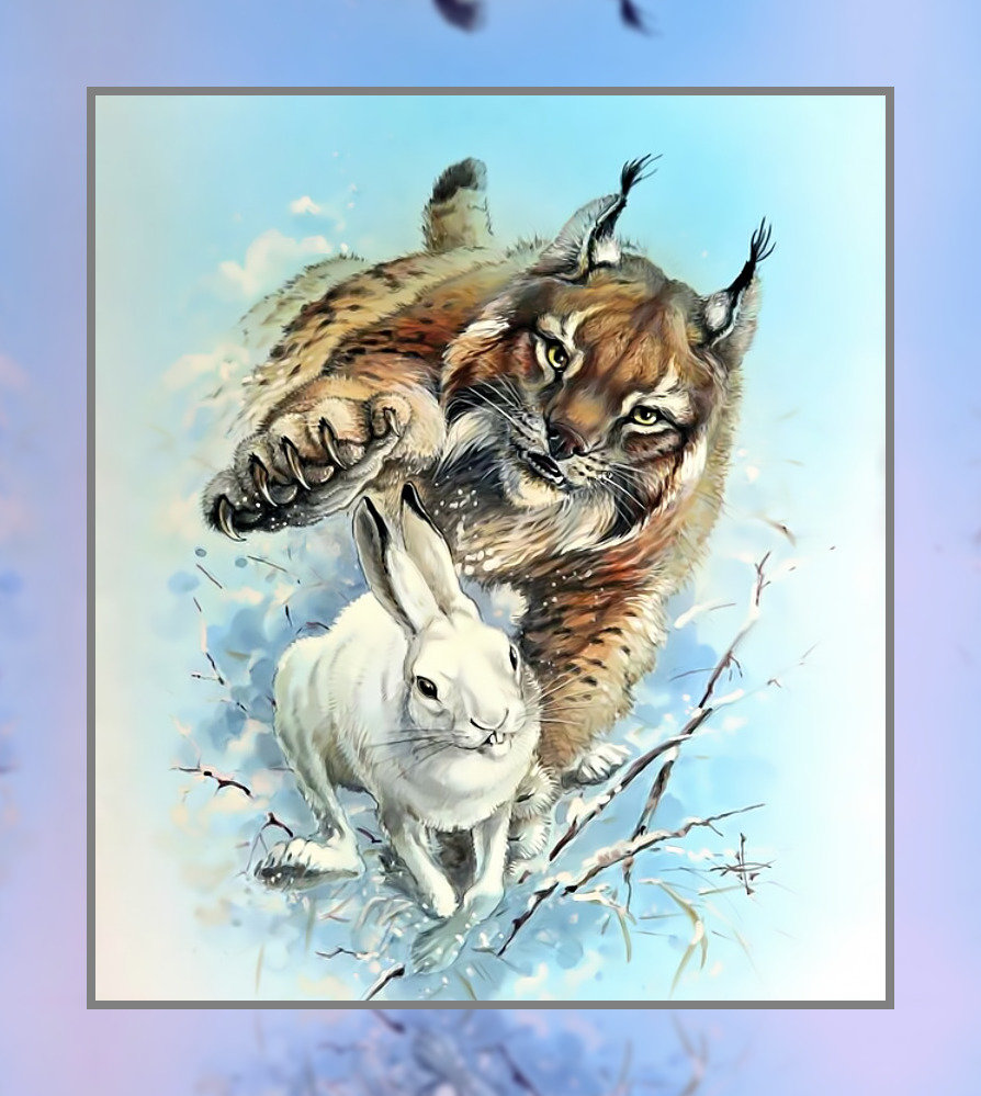 Охота - рысь заяц охота добыча зима снег - оригинал