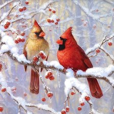 Схема вышивки «птицы»