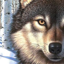 Схема вышивки «волк»