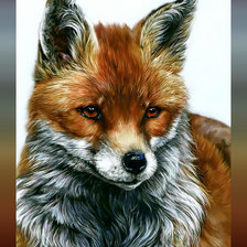 Схема вышивки «Лиса»