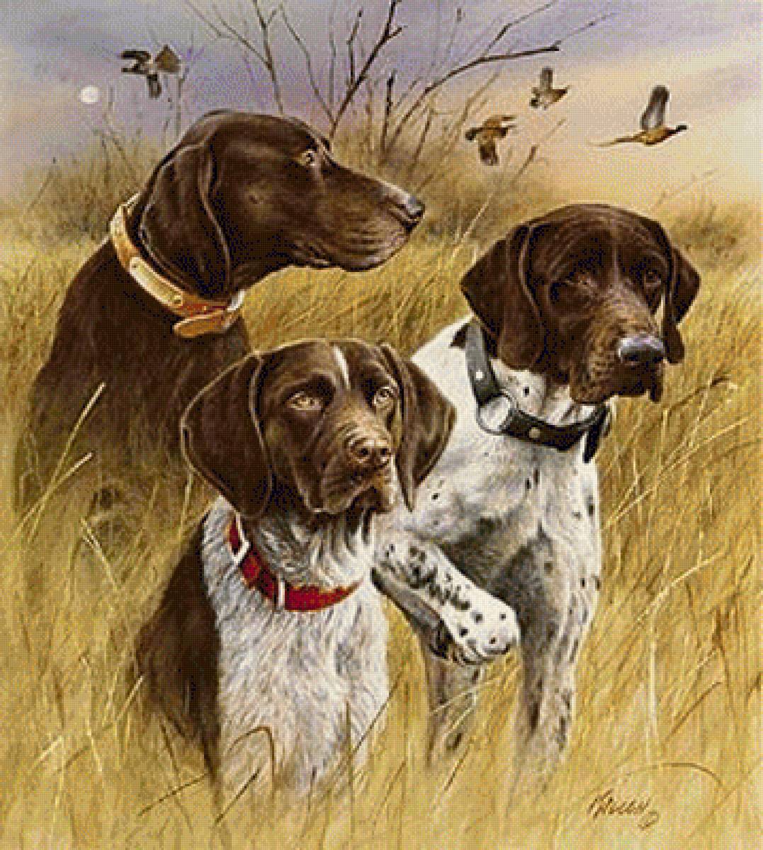 Great Hunting Dogs Germans. - jim killen painter.animals. - предпросмотр