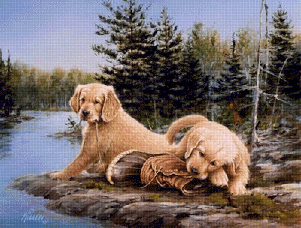 Hunting Dogs. - jim killen painter.animals. - предпросмотр