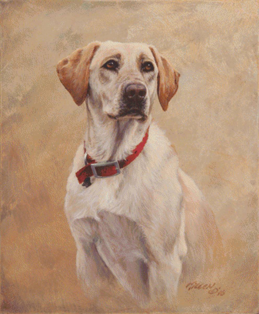 My Companion. - jim killen painter.animals. - предпросмотр