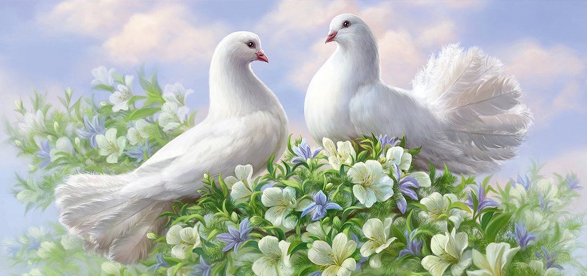 №1931911 - животные, птицы - оригинал