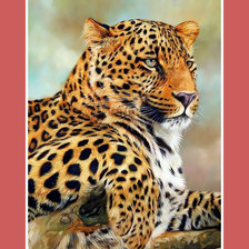 Схема вышивки «Грация леопарда»