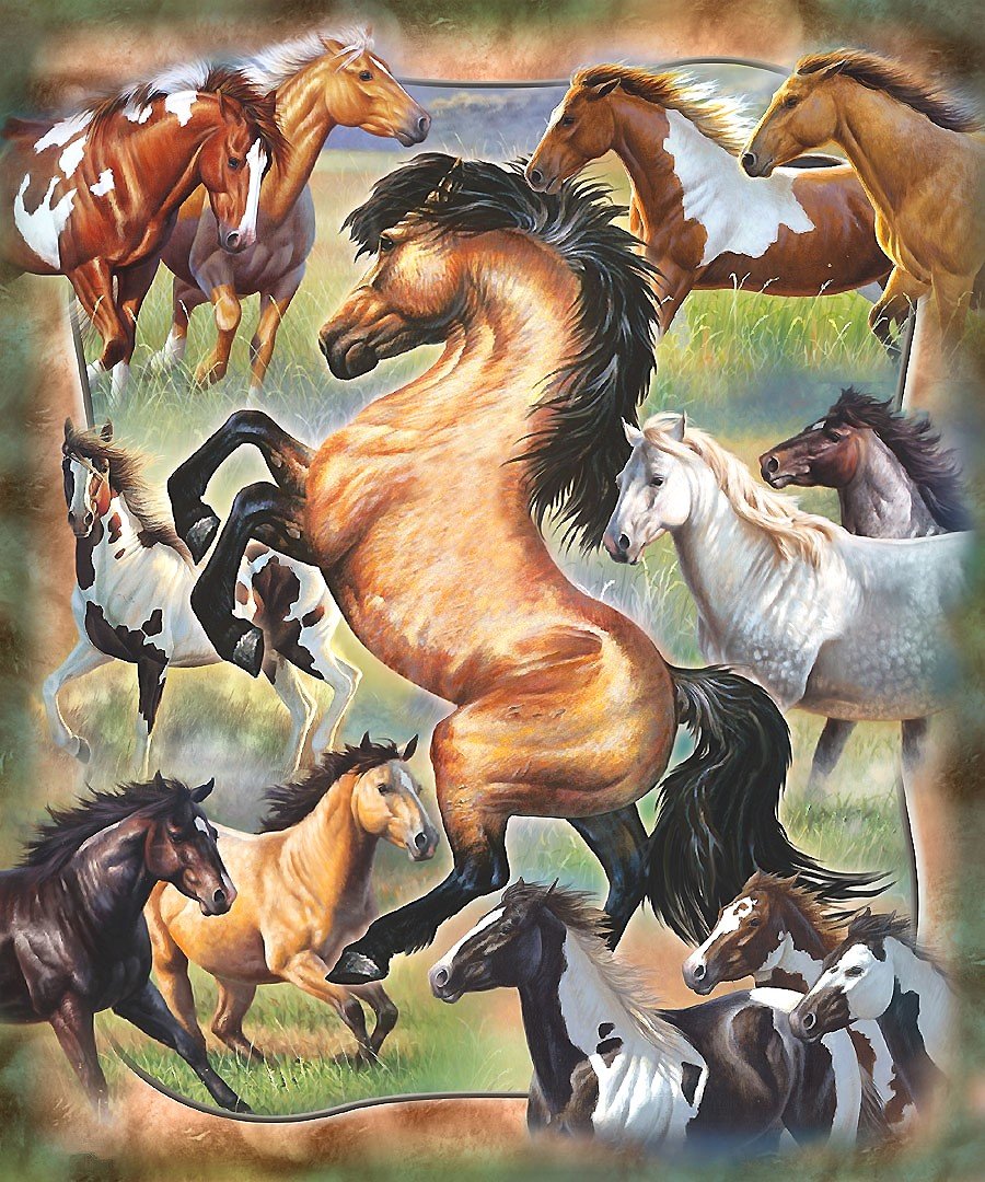 лошади - мир животных - оригинал