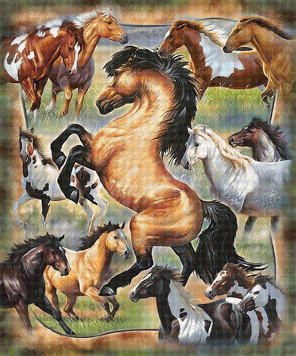 лошади - мир животных - предпросмотр