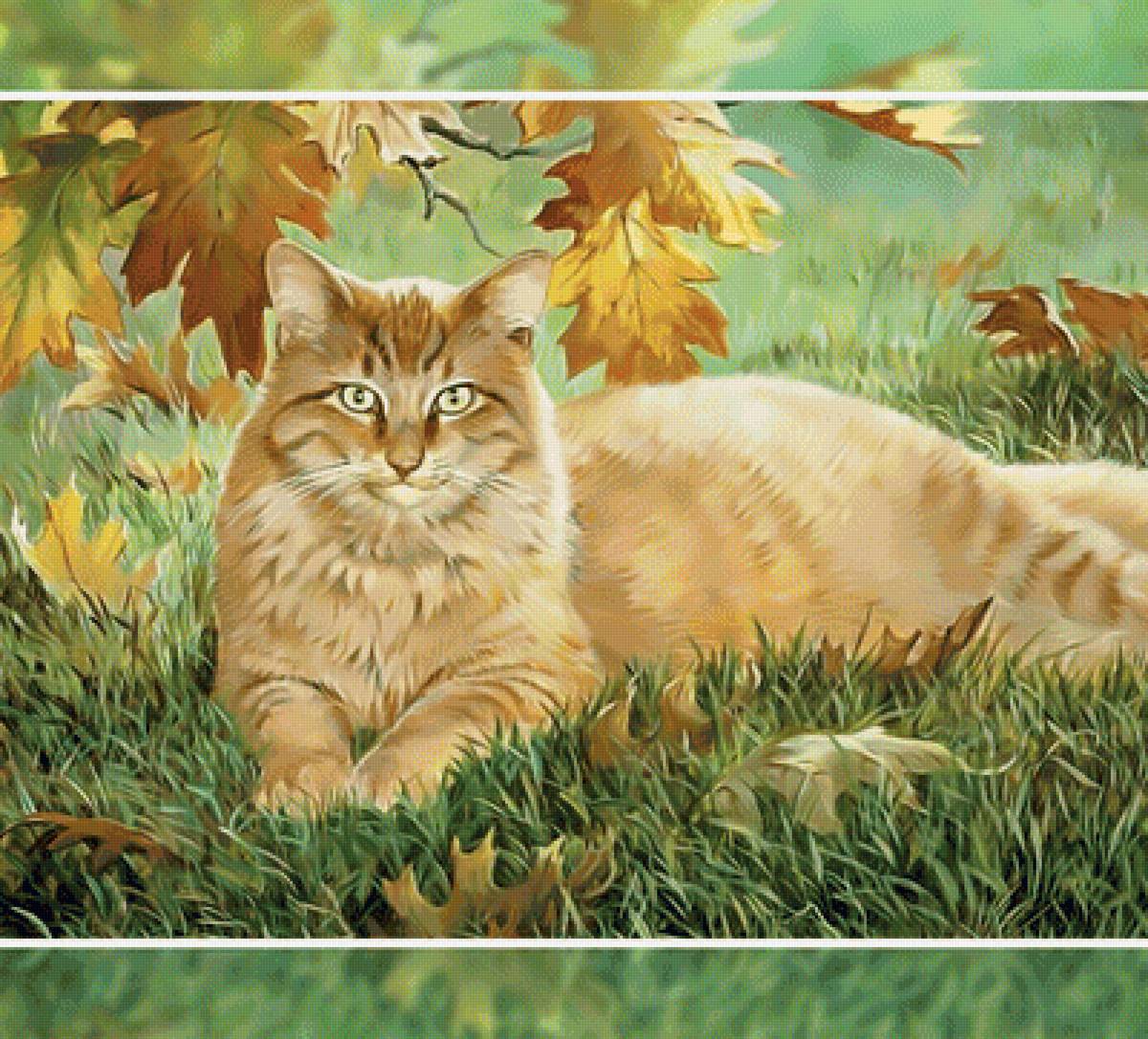 Рыжий кот - осень листопад рыжий кот - предпросмотр