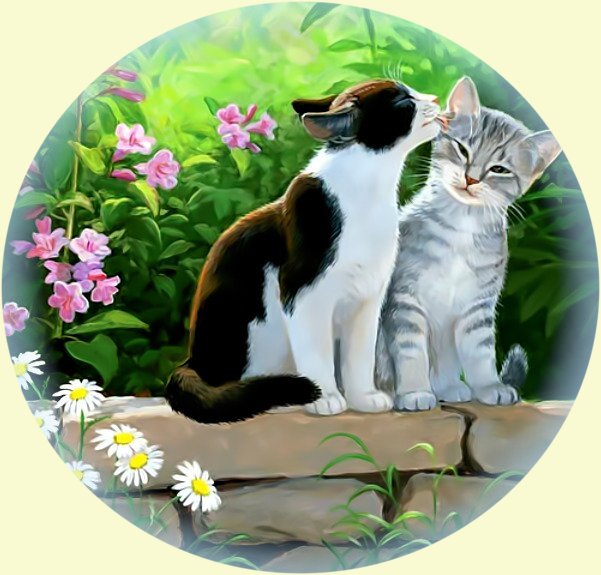 Котики на солнышке2 - коты лето солнце природа цветы - оригинал