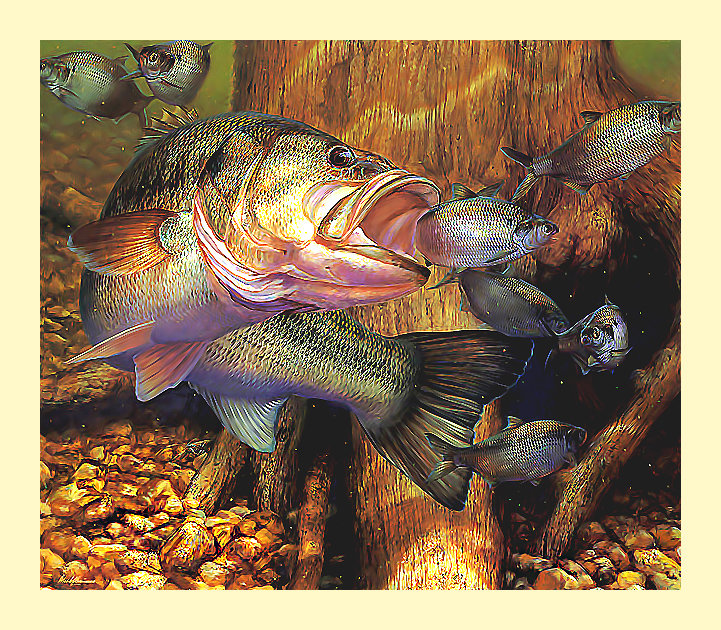 Серия "Рыбалка и охота" - рыбы, рыбалка - оригинал