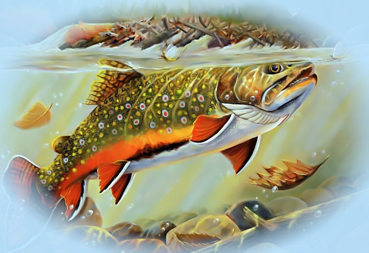 Рыбалка5 - рыбалка охота рыба под водой - оригинал