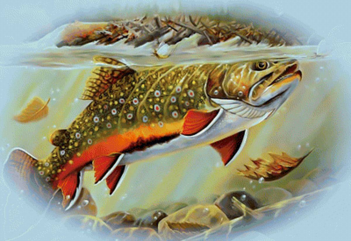 Рыбалка5 - рыбалка охота рыба под водой - предпросмотр