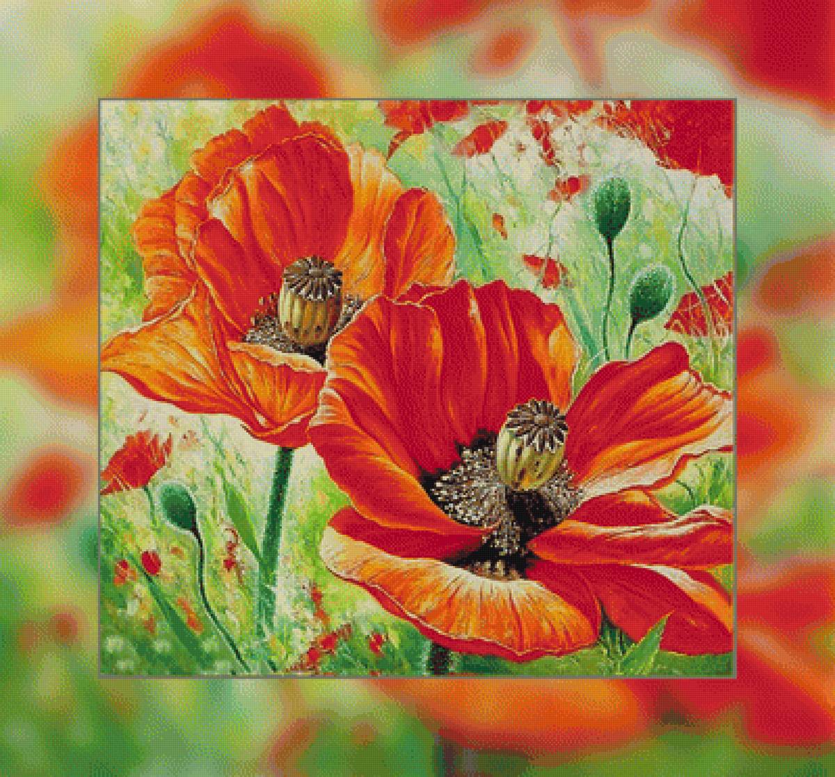 №1932734 - натюрморт, цветы, букеты, маки - предпросмотр