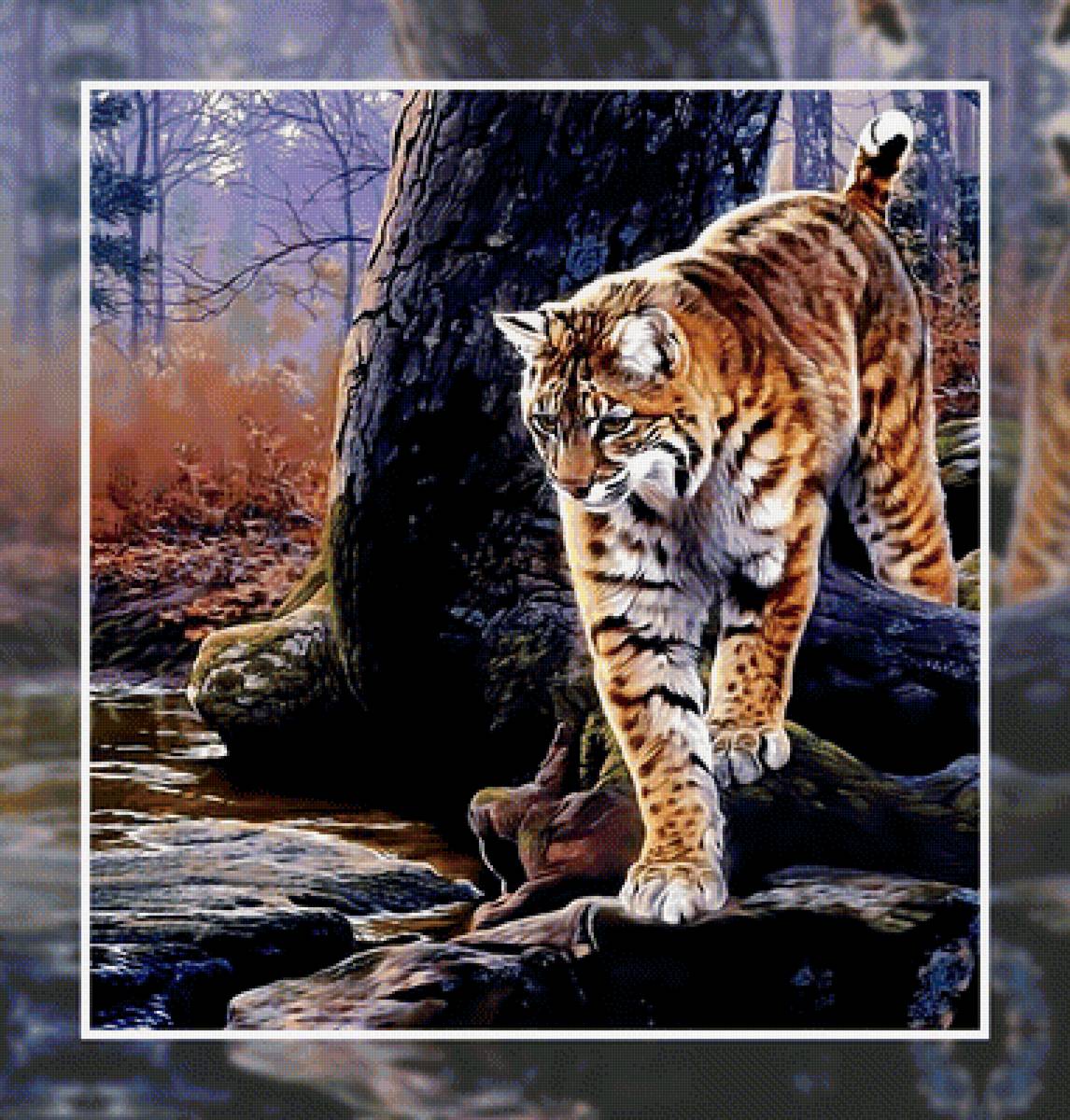 Рысь - рысь хищник - предпросмотр