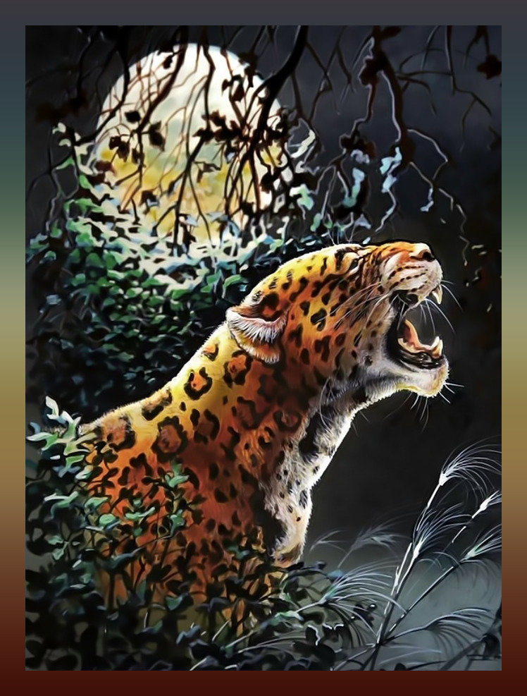 Леопард - леопард хищник ночь луна - оригинал