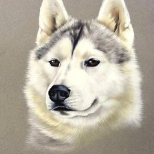 Схема вышивки «рисунок»