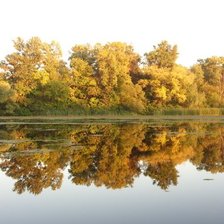 Схема вышивки «отражение»