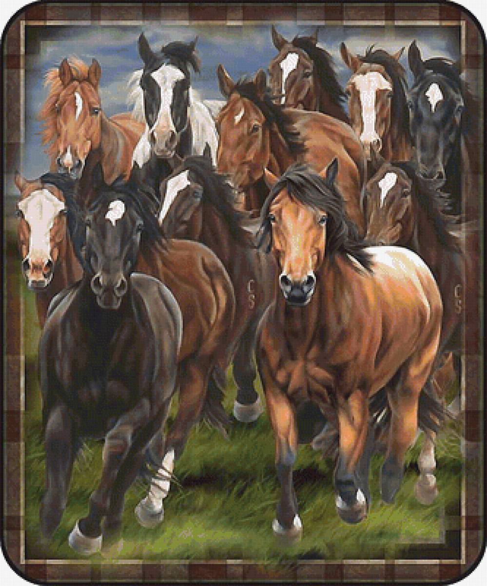 кони - мир животных - предпросмотр