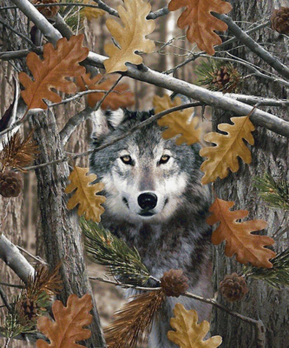 волк - мир животных - предпросмотр