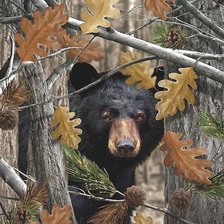 Схема вышивки «медведь»