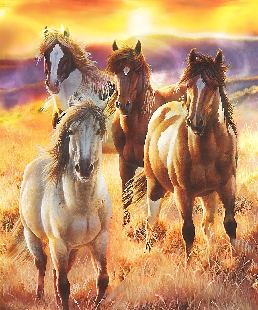 кони - мир животных - оригинал